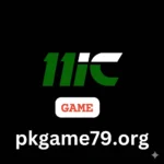 11ic Game
