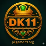 DK11 Game